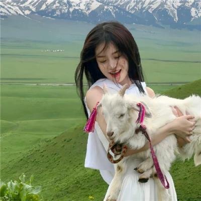 金牌客服董董恩